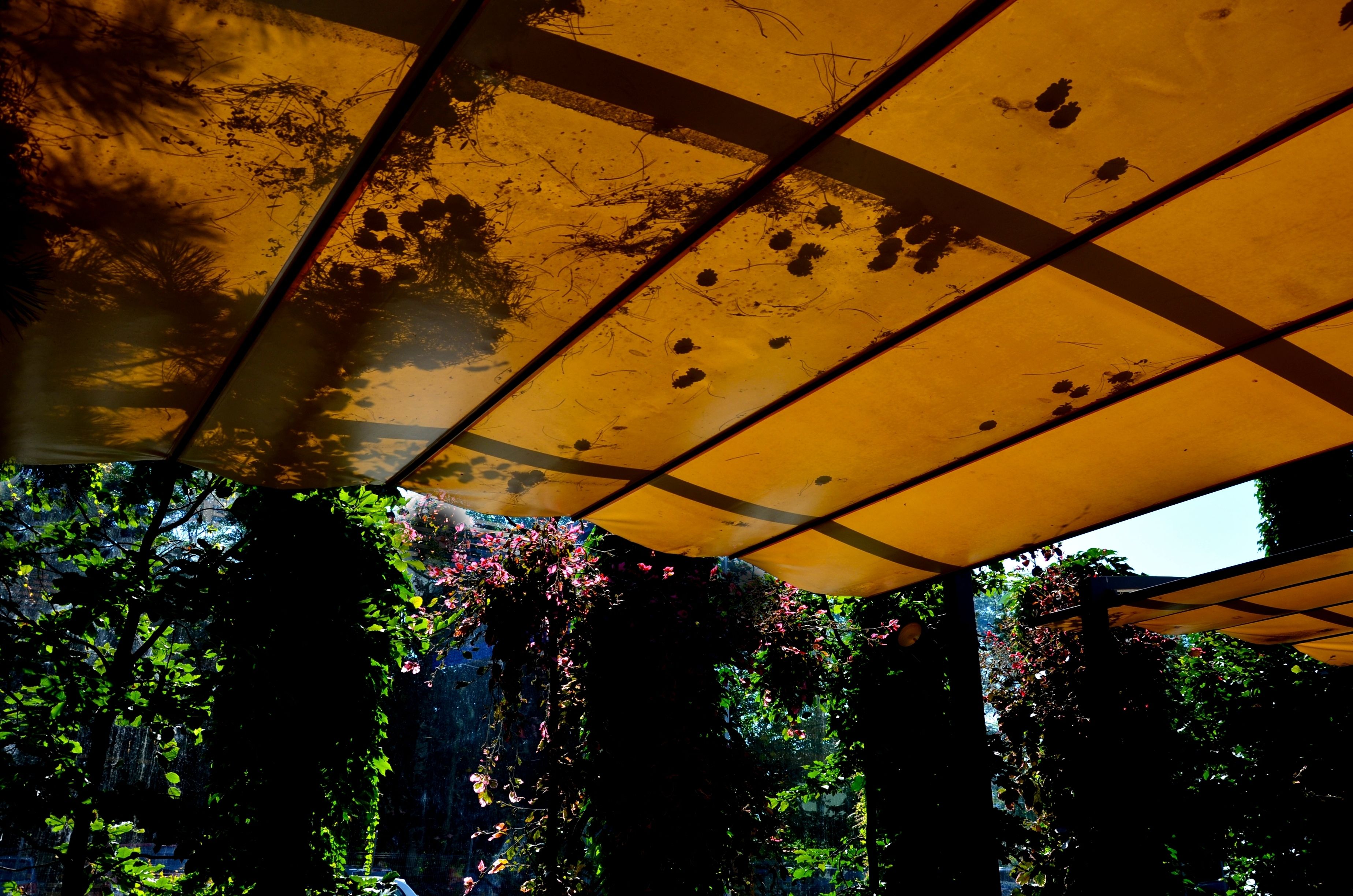 Comment bien fixer et entretenir votre bâche sur une pergola ?